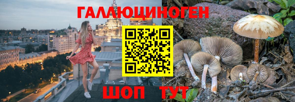 Псилоцибиновые грибы Magic Shrooms  Вход с VPN  Зеленодольск 