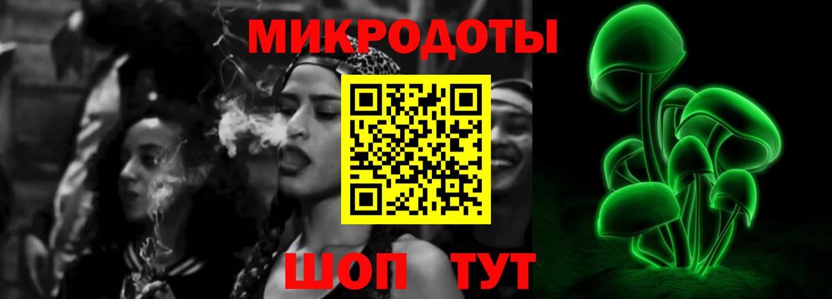 Псилоцибиновые грибы Cubensis Зеленодольск